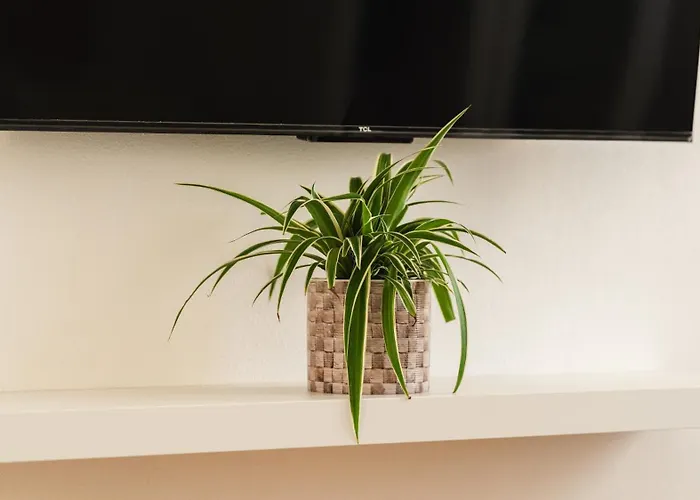 Freshly Renovated 10 Minutes From Arena *