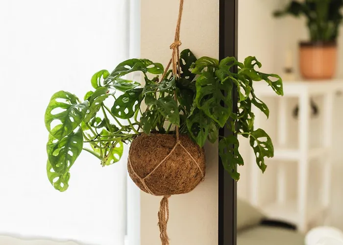 Freshly Renovated 10 Minutes From Arena Lägenhet Verona